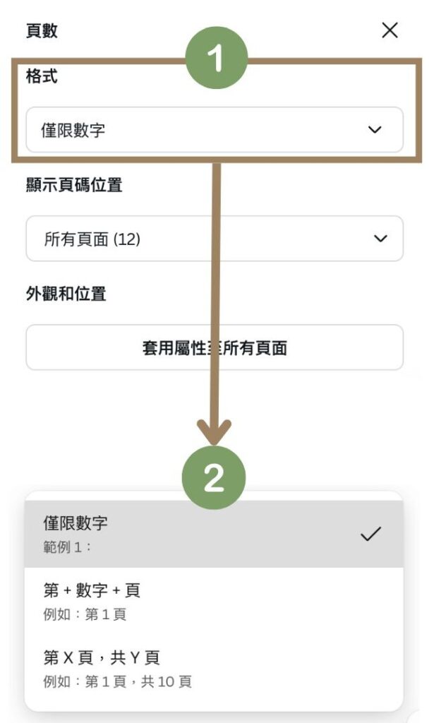 Canva電腦版加入頁碼後,調整格式的圖文操作步驟教學